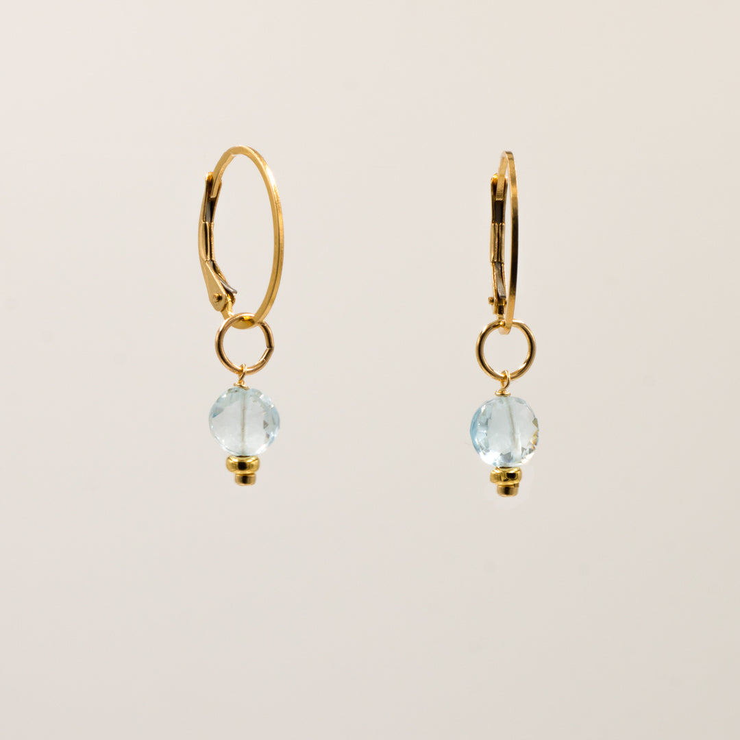 faceted birthstone coin charm - lever back earrings - workshopunderground.com