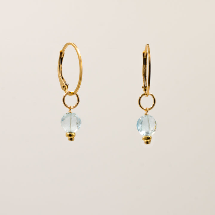 faceted birthstone coin charm - lever back earrings - workshopunderground.com