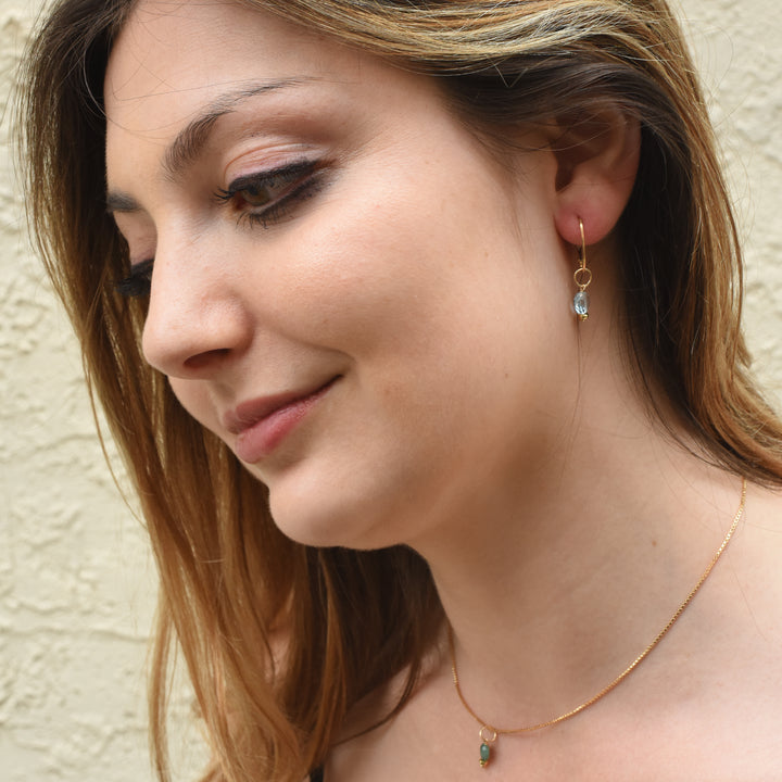 faceted birthstone coin charm - lever back earrings - workshopunderground.com