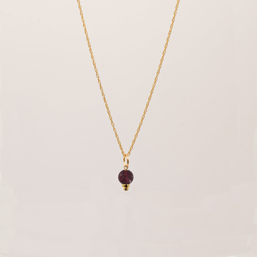 faceted birthstone coin charm - retro rope necklace - workshopunderground.com