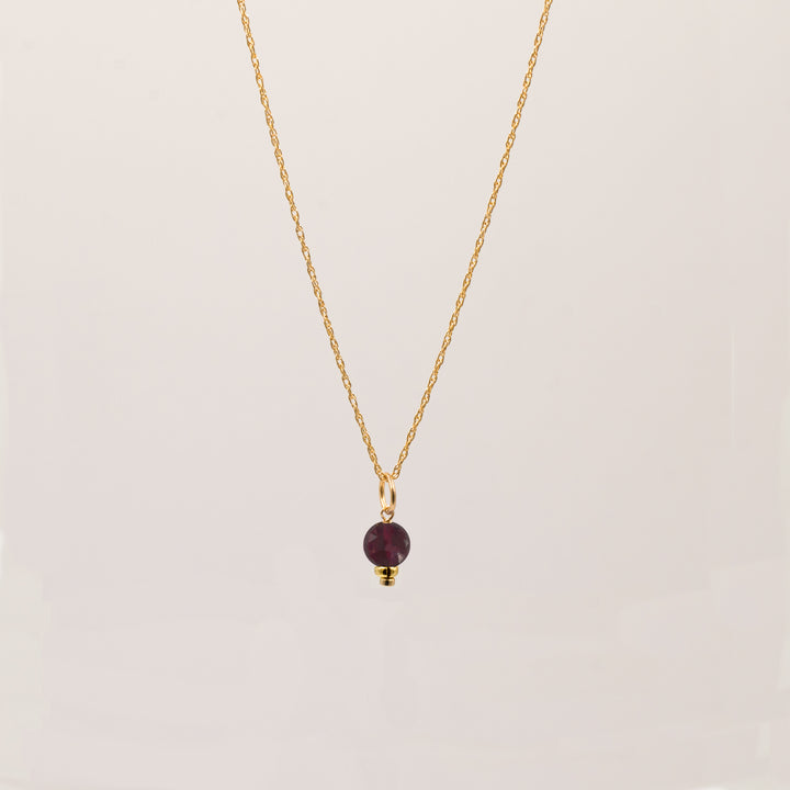 faceted birthstone coin charm - retro rope necklace - workshopunderground.com