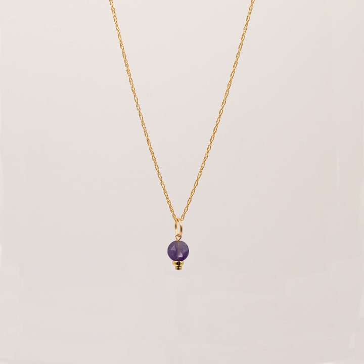 faceted birthstone coin charm - retro rope necklace - workshopunderground.com