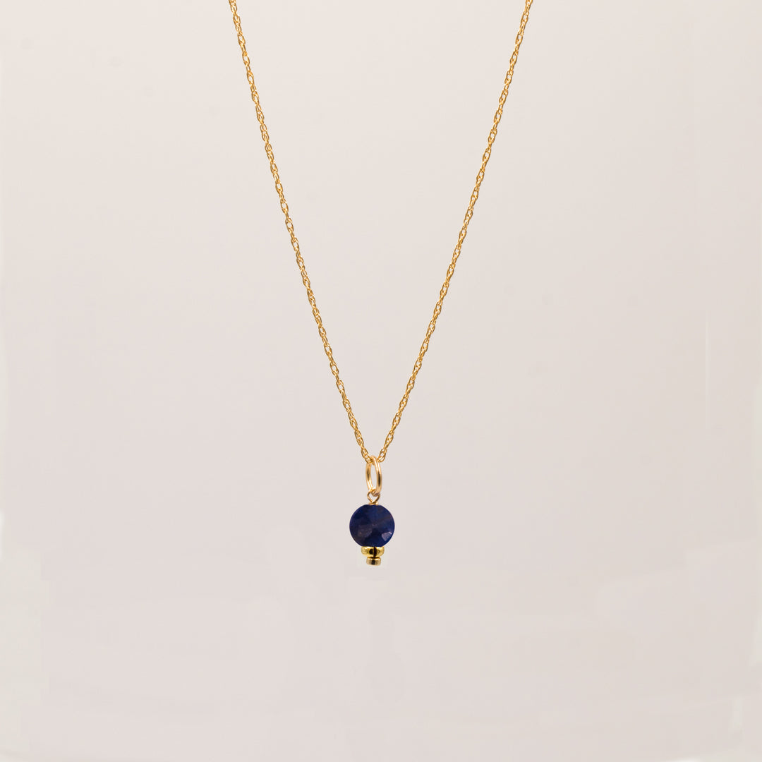 faceted birthstone coin charm - retro rope necklace - workshopunderground.com