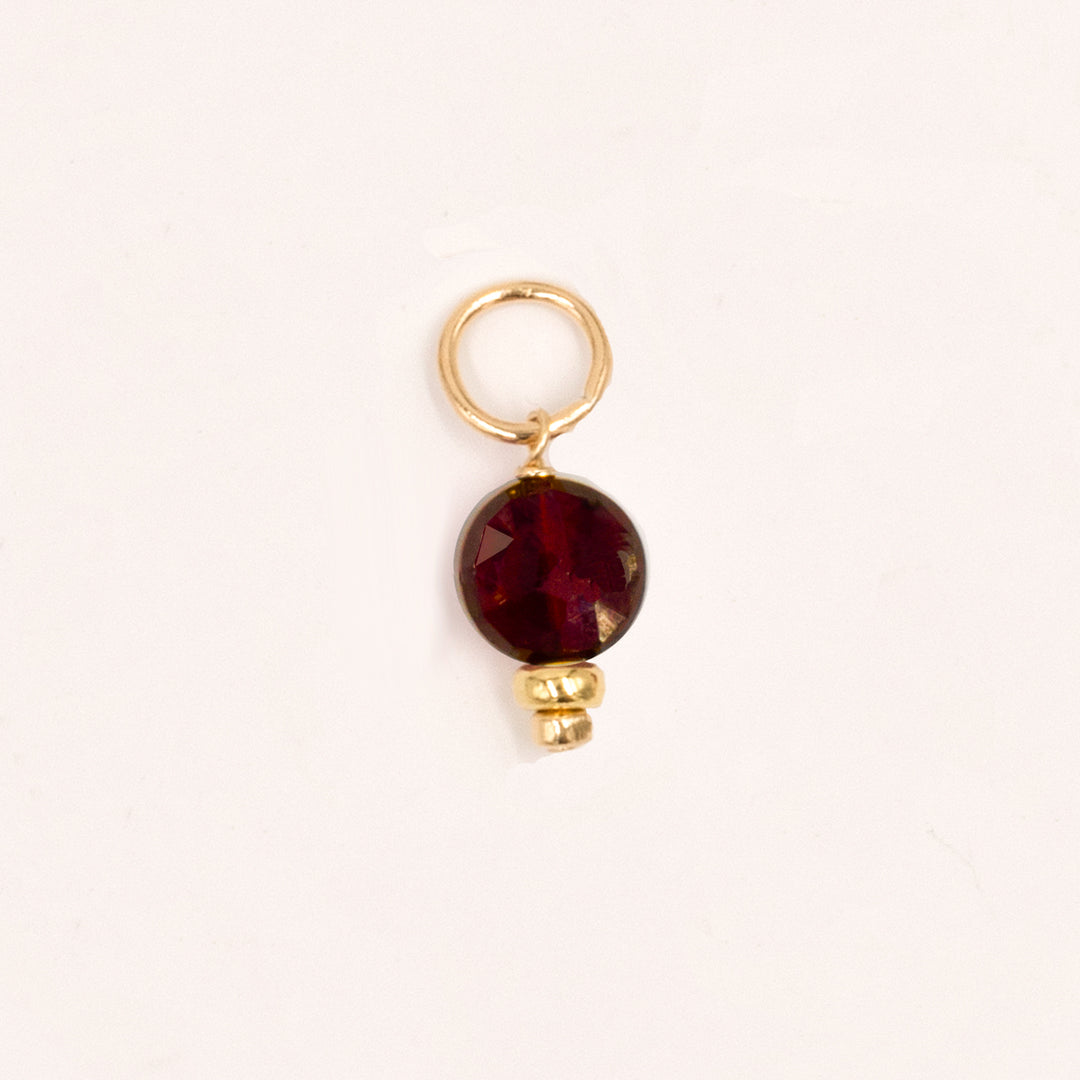 faceted birthstone coin charm - shepherd's hook earrings - workshopunderground.com
