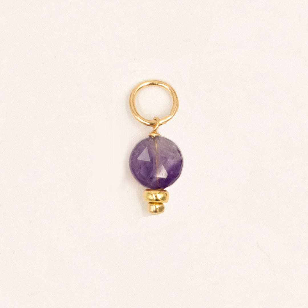 faceted birthstone coin charm - shepherd's hook earrings - workshopunderground.com