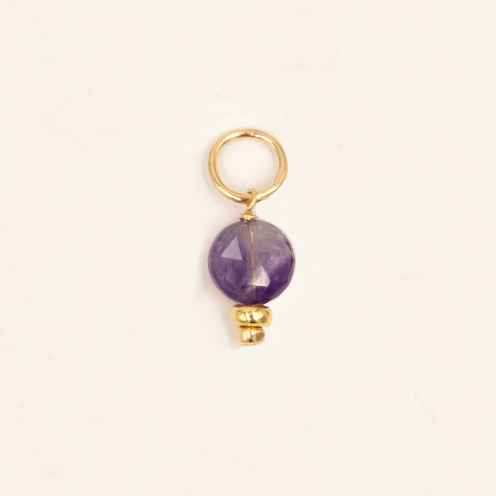 faceted birthstone coin charm - shepherd's hook earrings - workshopunderground.com