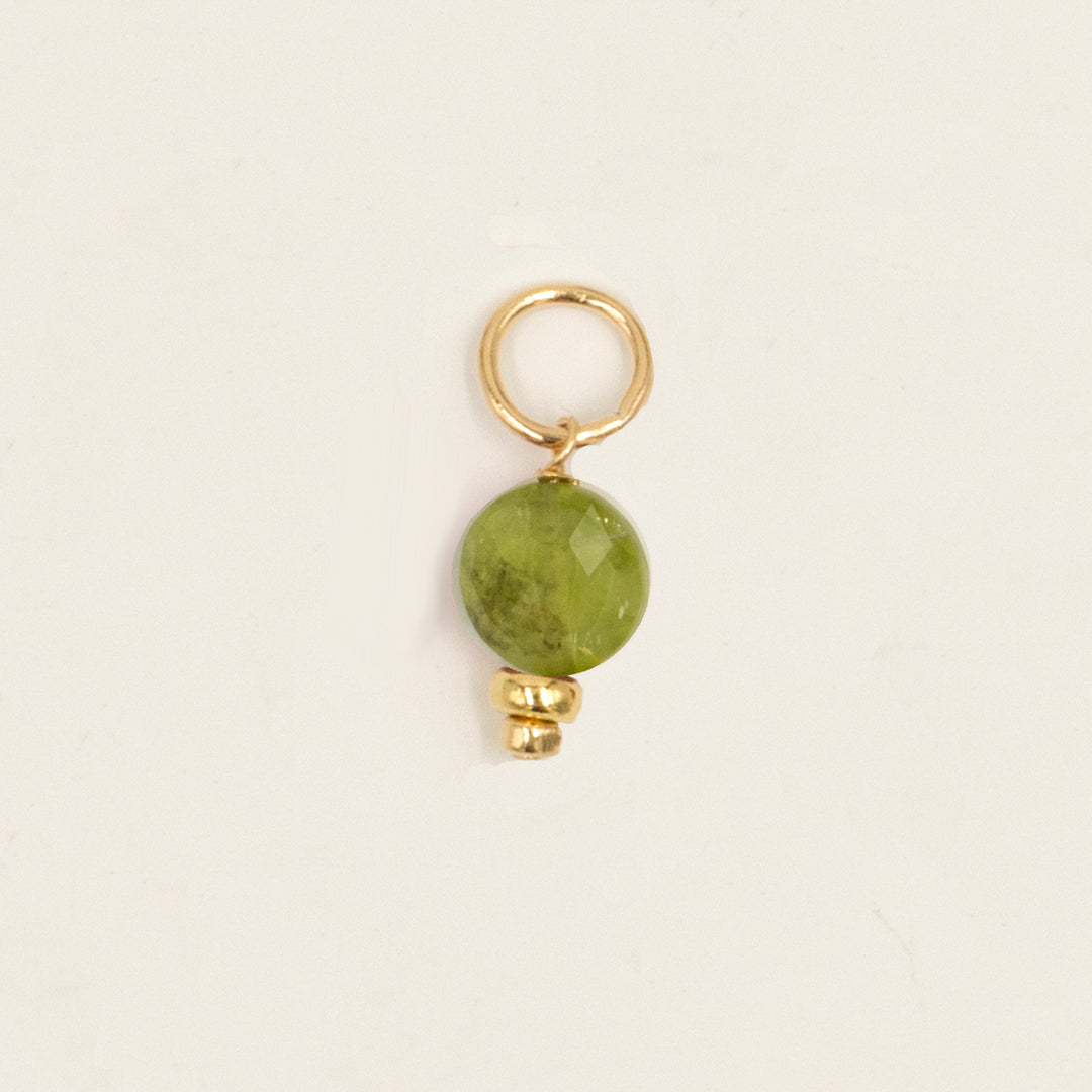 faceted birthstone coin charm - shepherd's hook earrings - workshopunderground.com