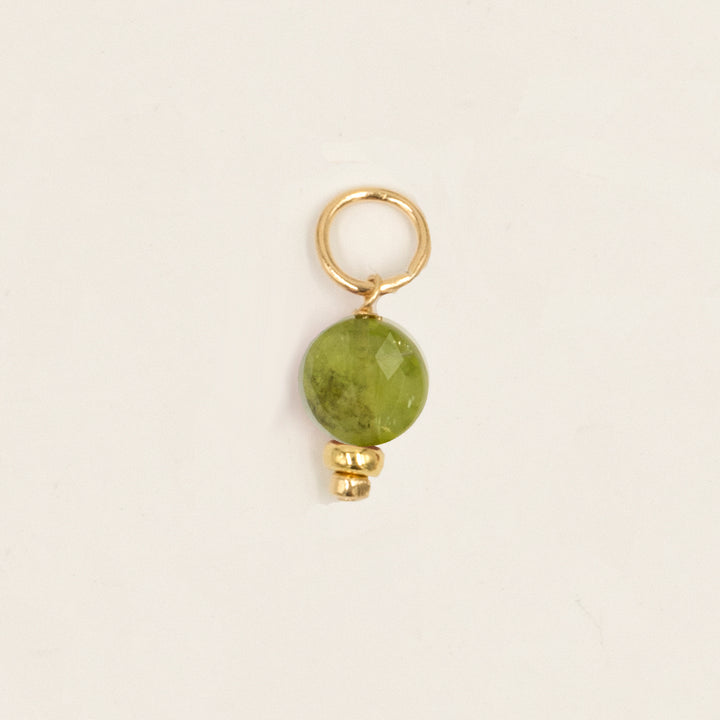 faceted birthstone coin charm - shepherd's hook earrings - workshopunderground.com