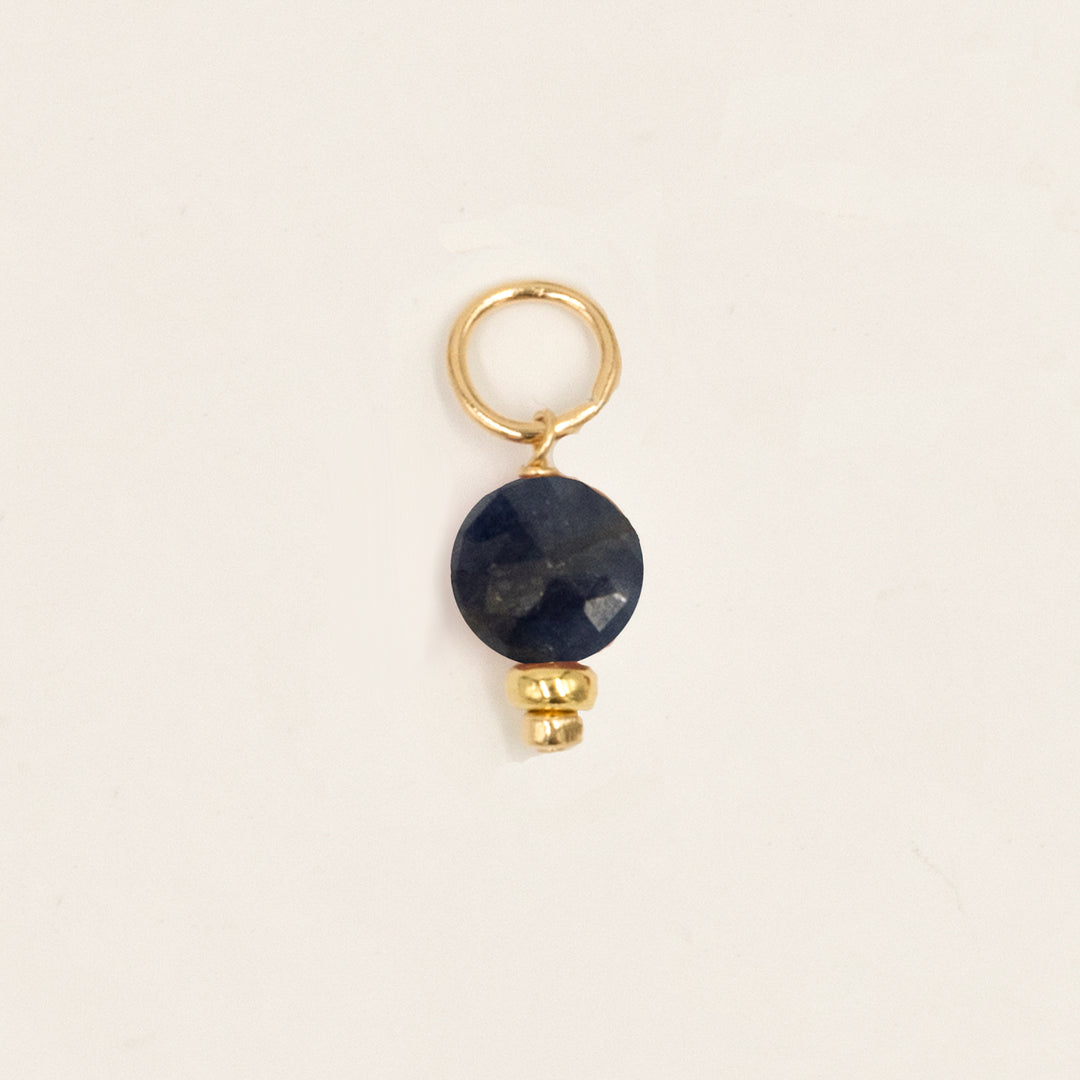 faceted birthstone coin charm - shepherd's hook earrings - workshopunderground.com