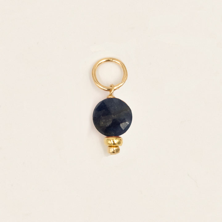 faceted birthstone coin charm - shepherd's hook earrings - workshopunderground.com