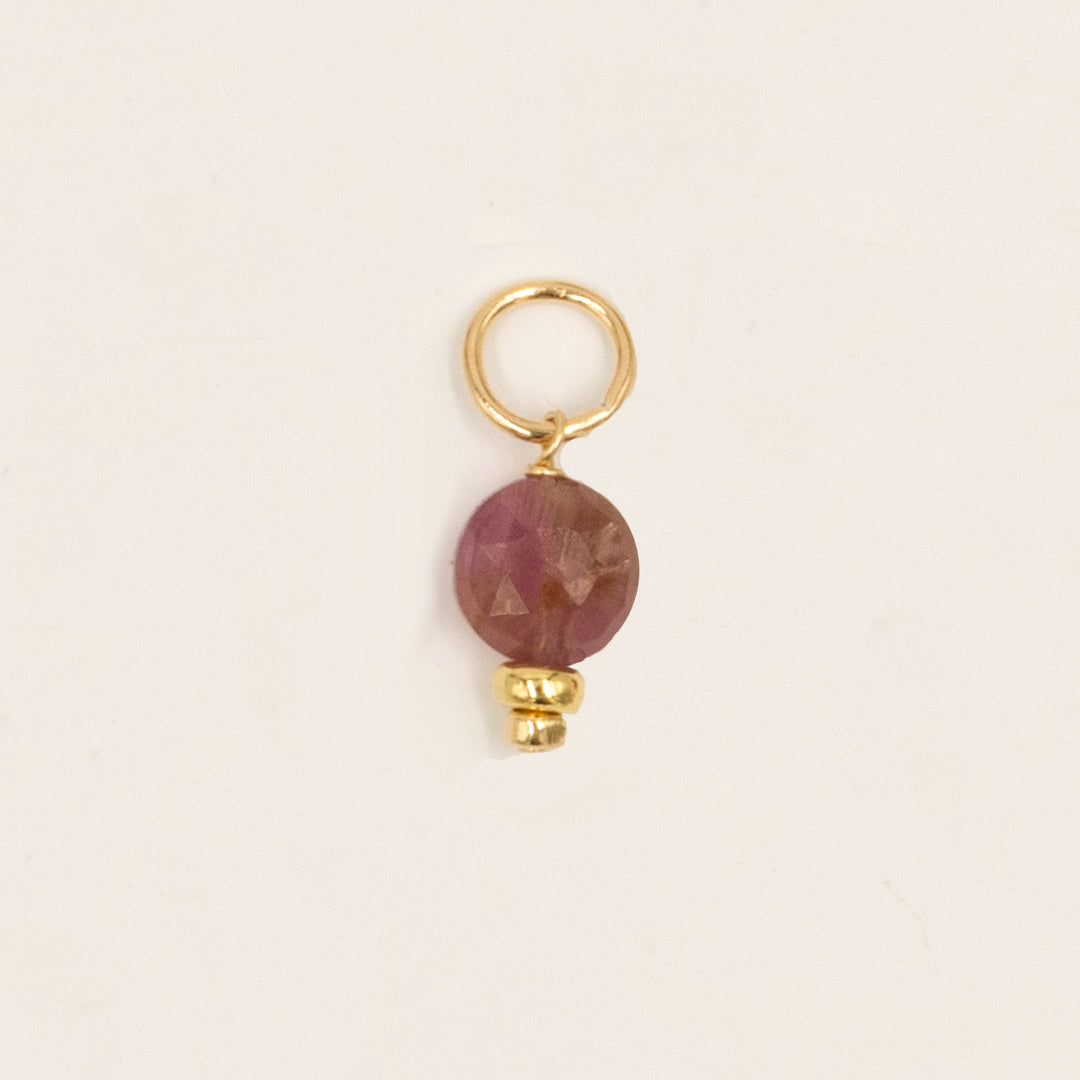 faceted birthstone coin charm - shepherd's hook earrings - workshopunderground.com