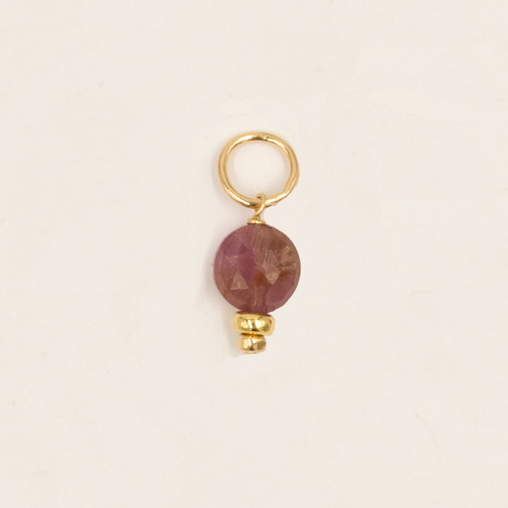 faceted birthstone coin charm - shepherd's hook earrings - workshopunderground.com