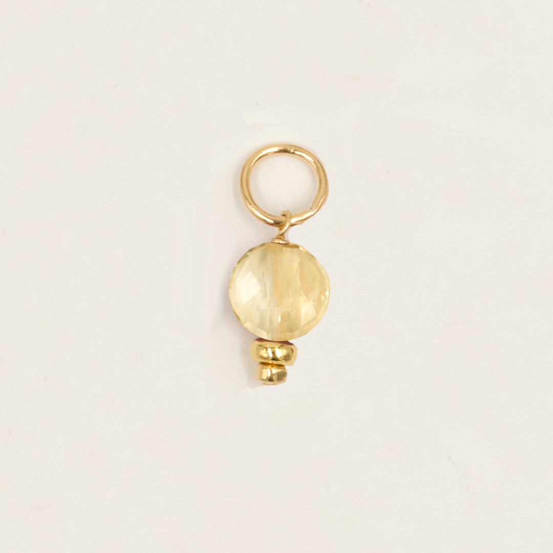 faceted birthstone coin charm - shepherd's hook earrings - workshopunderground.com